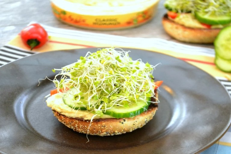 Hummus and Sprouts Bagel